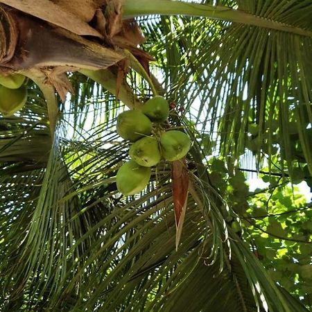 Tiwi Beach Resort & Spa Mombasa Kültér fotó