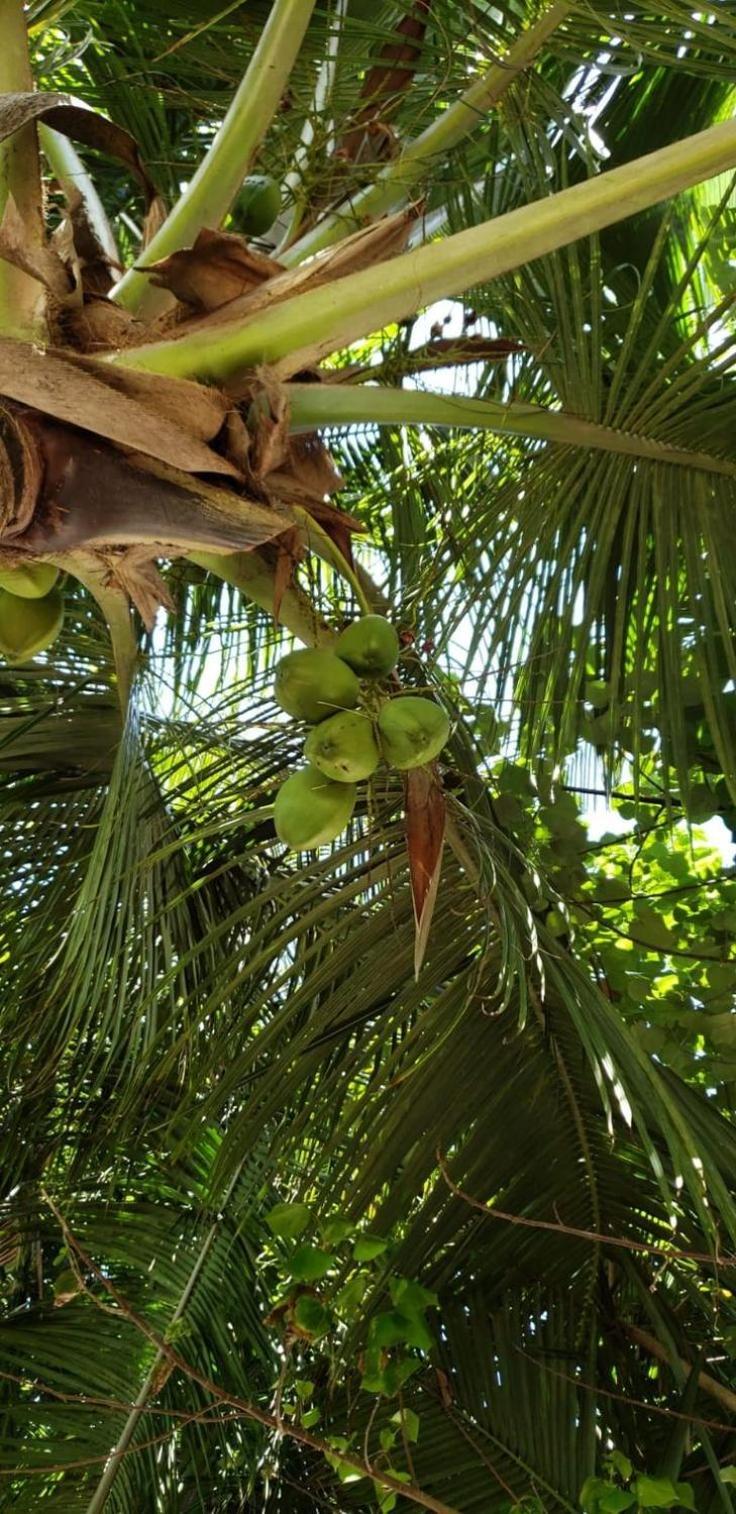 Tiwi Beach Resort & Spa Mombasa Kültér fotó